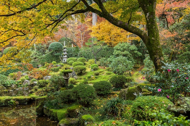 Jardin japonais avec érable autuman