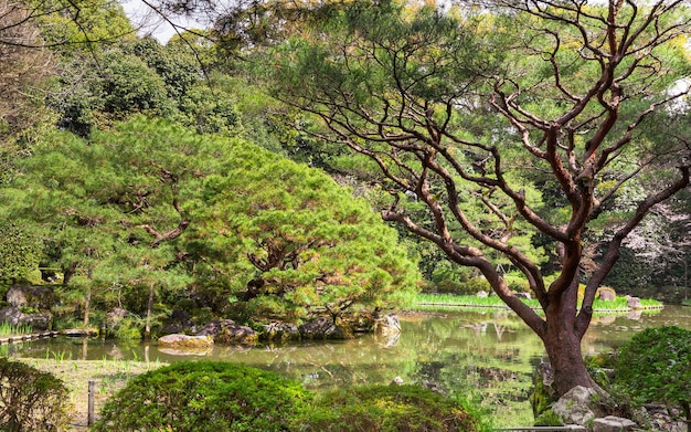 Jardin japonais un étang épicéa et pins Kyoto Japon