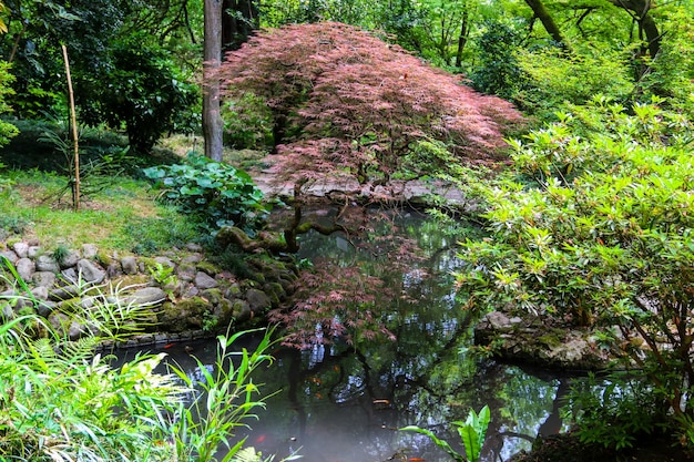 Jardin japonais avec lac dans le jardin botanique de Batumi, Géorgie