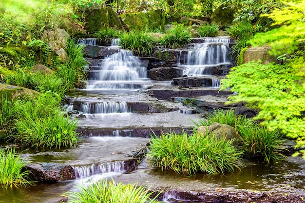 Jardin japonais traditionnel Kokoen à Himeji au Japon