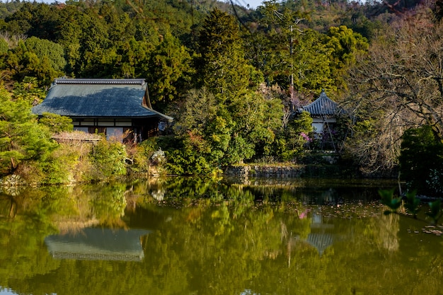 jardin japonais