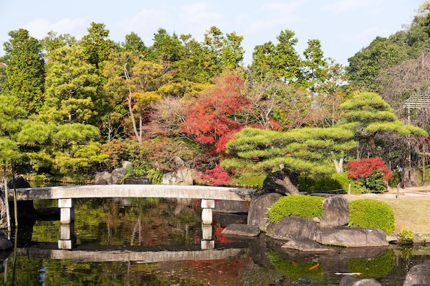 Jardin japonais