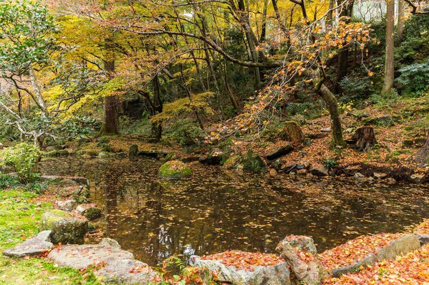 Jardin japonais