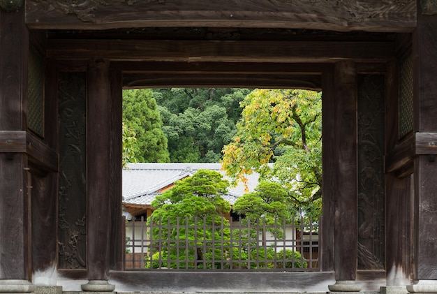 Jardin japonais