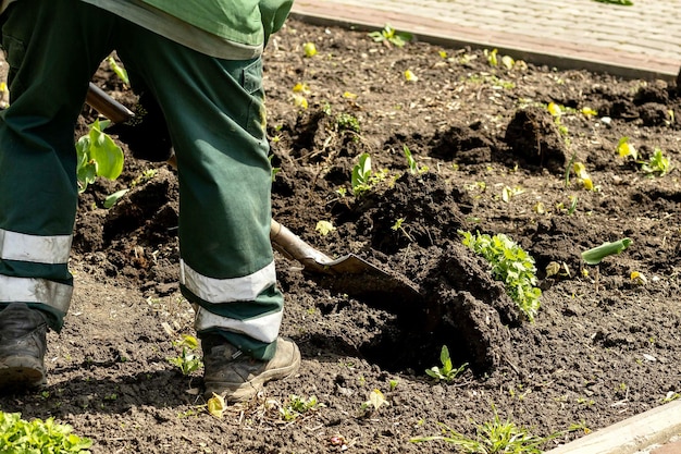 Jardin Jardin