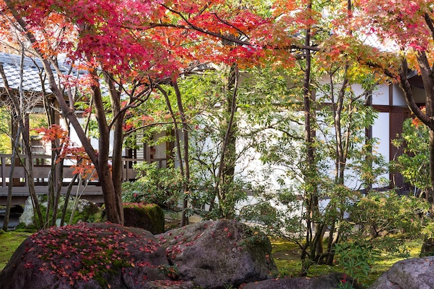 Jardin Kokoen au Japon