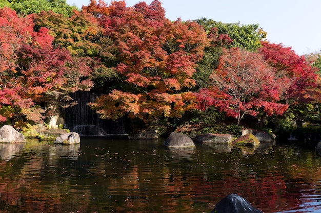 Jardin Kokoen à Himeji