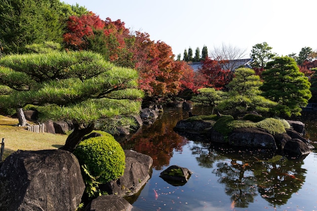 Jardin de Kokoen japonais