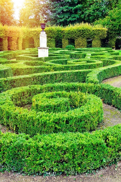 Jardin labyrinthe