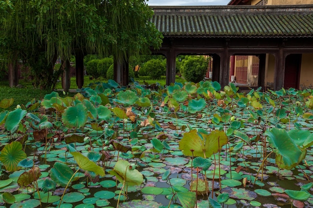 Jardin de lotus de la ville impériale de Hue