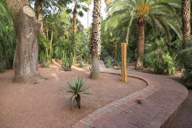 Jardin Majorelle à Marrakech Maroc