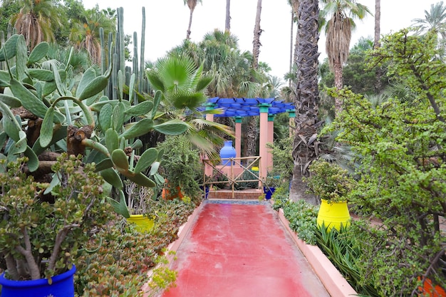 Jardin Majorelle à Marrakech Maroc