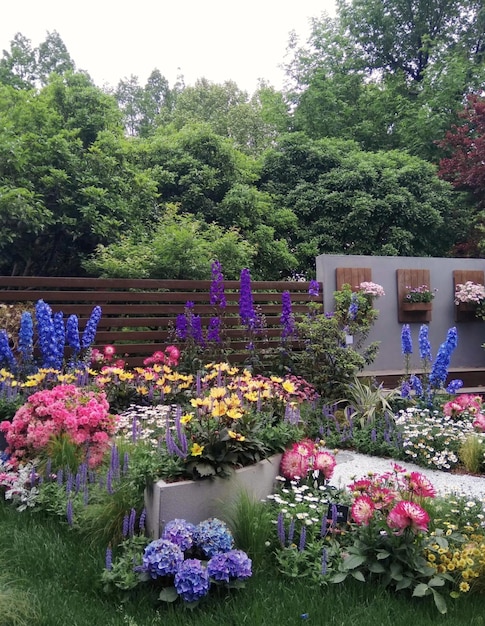 Un jardin avec un mur en béton et des fleurs