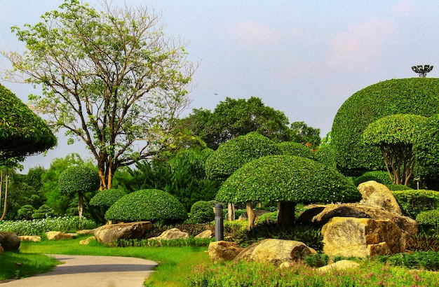 Jardin d&#39;ornement