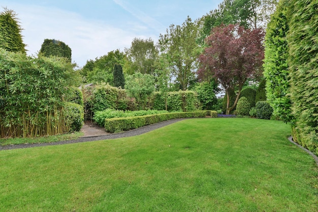 Un jardin avec une pelouse et des haies et des arbres