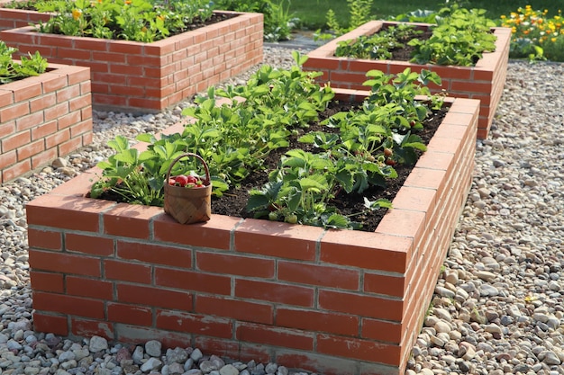 Photo un jardin potager moderne avec des lits de briques surélevées un panier plein de fraises