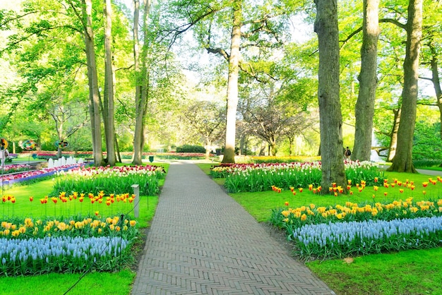 Jardin de printemps formel
