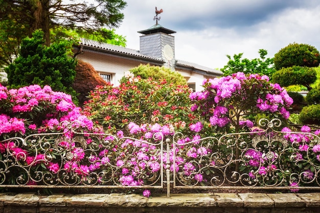 Jardin des rhododendrons