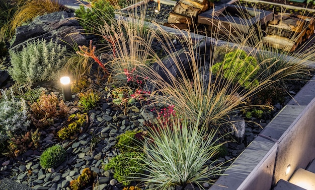 Jardin de rocaille nouvellement construit avec poteaux d'éclairage LED Industrie du jardinage et de l'aménagement paysager