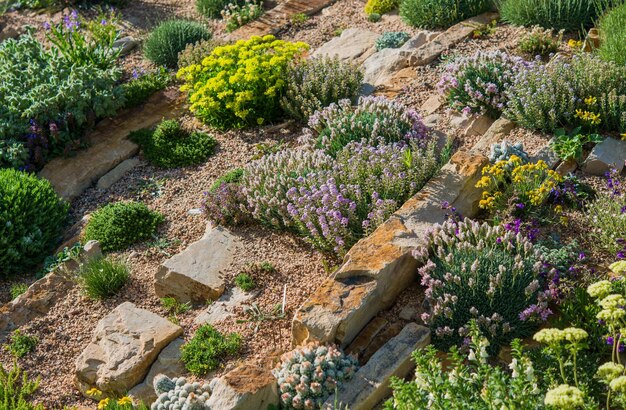 Le jardin de Rockery