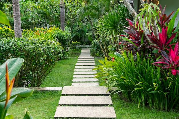 Jardin tropical bien entretenu avec un chemin après la pluie