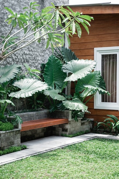 Jardin tropical pendant la journée avec cabane en bois