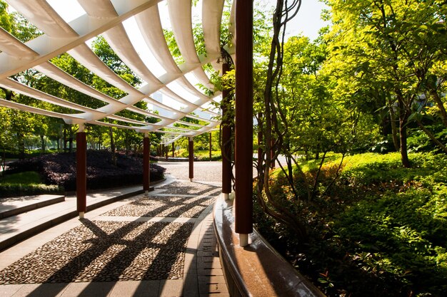 Jardin urbain à Shanghai, Chine.