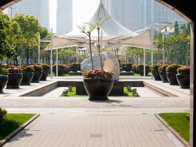 Jardin urbain à Shanghai, Chine.