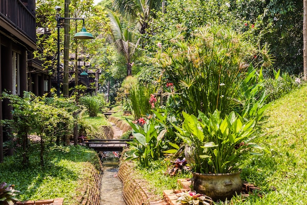 Jardin verdoyant avec petit canal