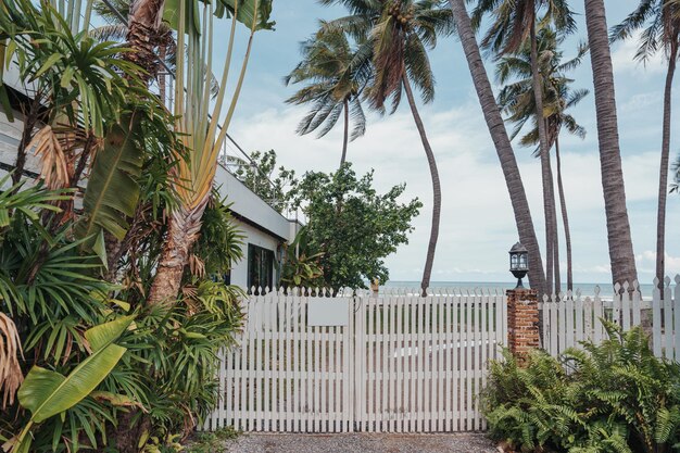 Jardin vert tropical avec clôture blanche en bois sur l'arrière-cour au littoral