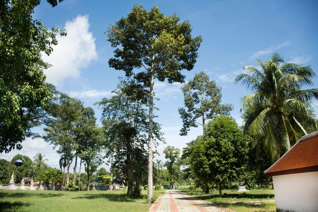 Jardin de Wat Kiean Bang Kaew à Khao Chaison District de Phatthalung Thaïlande