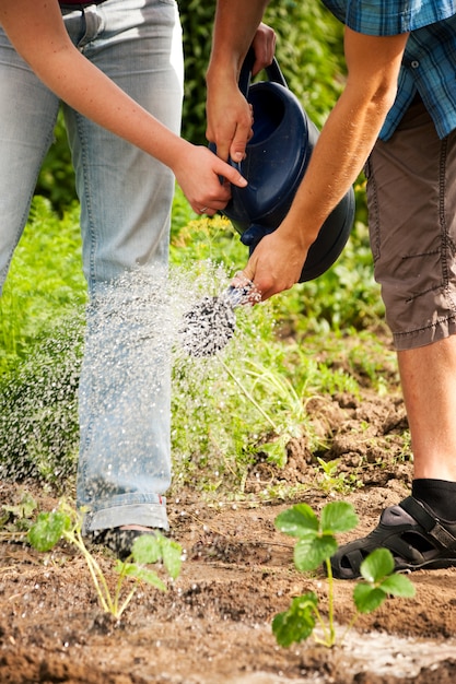 Jardinage, arrosage des plantes