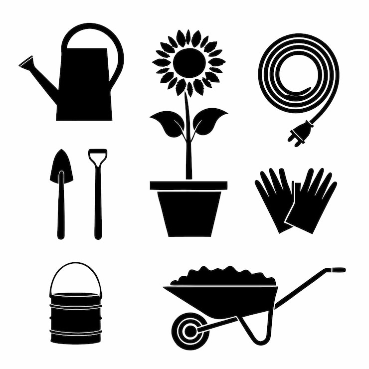 Photo le jardinage du tournesol avec l'arrosage