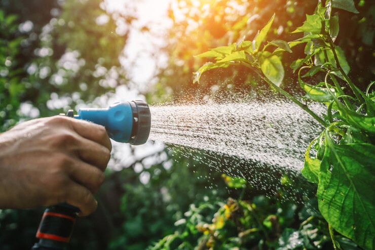 Photo jardinage avec de l'eau en été