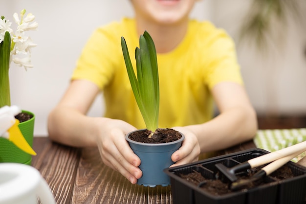 Jardinage à la maison petit enfant garçon aidant à prendre soin des plantes d'intérieur environnement vert à la maison planter des graines