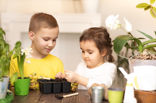 Jardinage à la maison Petit enfant garçon et fille aidant à prendre soin des plantes d'intérieur environnement vert à la maison planter des graines