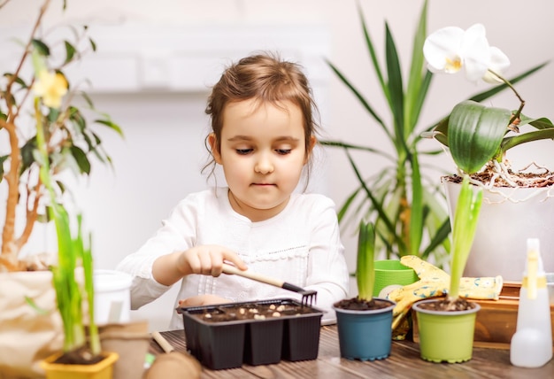 Jardinage à la maison petite fille aidant à prendre soin des plantes d'intérieur environnement vert à la maison