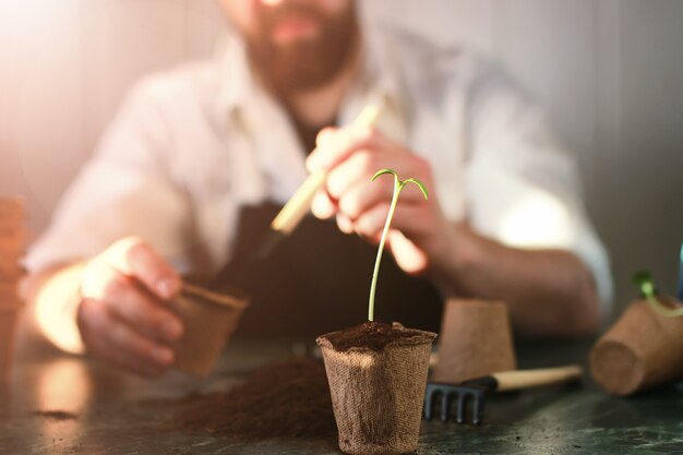 Jardinage à la maison table de germes à la main