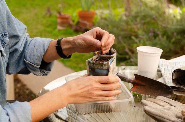 Jardinage avec des matériaux recyclés Une femme remplissant des pots faits de feuilles de journaux dans le jardin