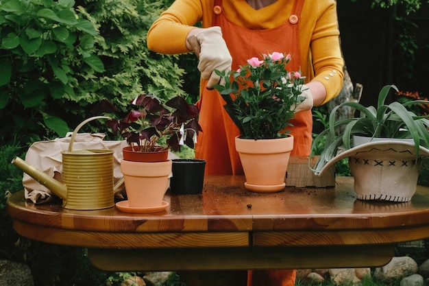 Jardinage en pot