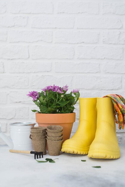 Jardinage de printemps avec des fleurs vertes en fleurs dans des pots bottes jaunes arrosoir pots à planter sur