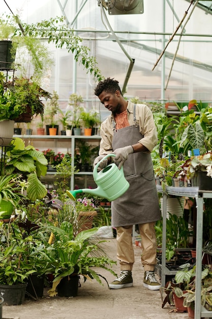 Jardinier arrosant les plantes en serre