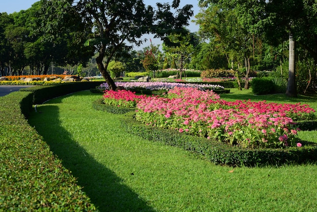 Le jardinier arrose les fleurs au parc