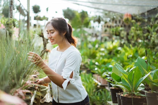 Jardinier au travail, prenez soin des plantes vertes