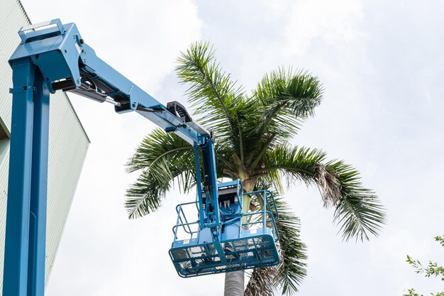 Jardinier coupant des branches sur un panier de grue concept dangereux