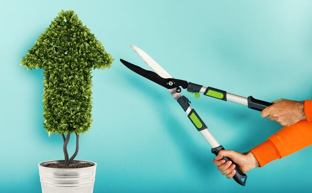 Jardinier coupe une plante avec une forme de flèche concept de succès et d'amélioration fond cyan