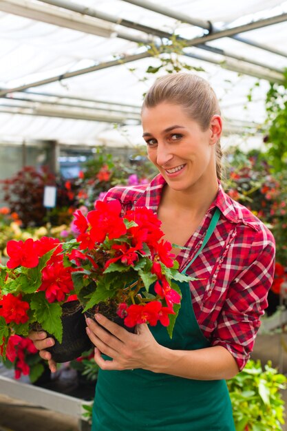 jardinier dans son magasin de fleurs de serre