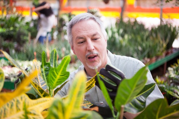 Jardinier expert examinant une plante dans une serre