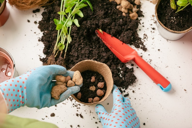 Jardinier femelle organisant des plantes à la maison à l'aide d'outils