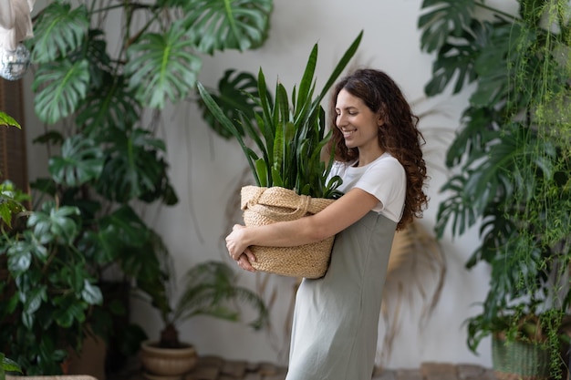 Jardinier féminin prenant soin de la plante de serpent tout en travaillant dans le jardin de la maison